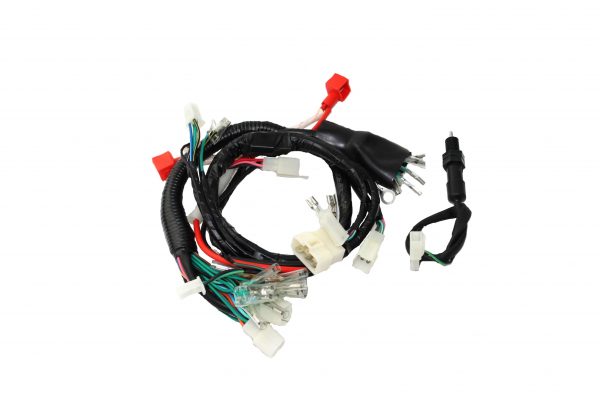 ARNES COMPLETO FORZA 125-FT125