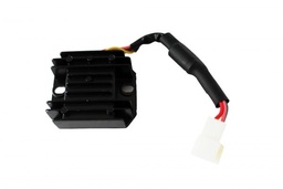 RECTIFICADOR DE CORRIENTE DM200